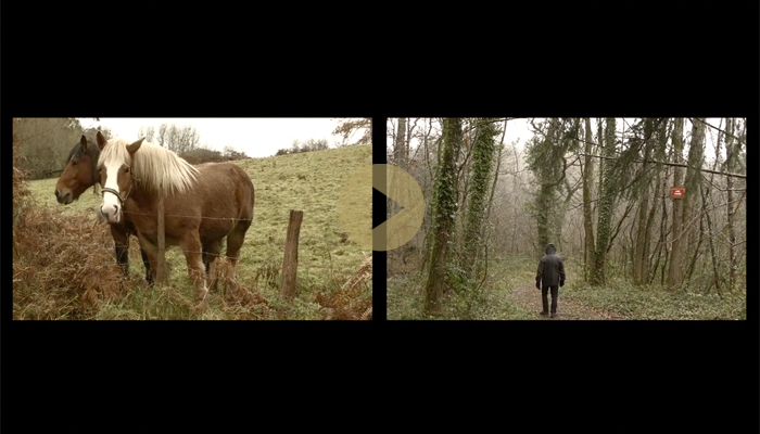 Eric Chenaux 'Poor Time' video, 2015