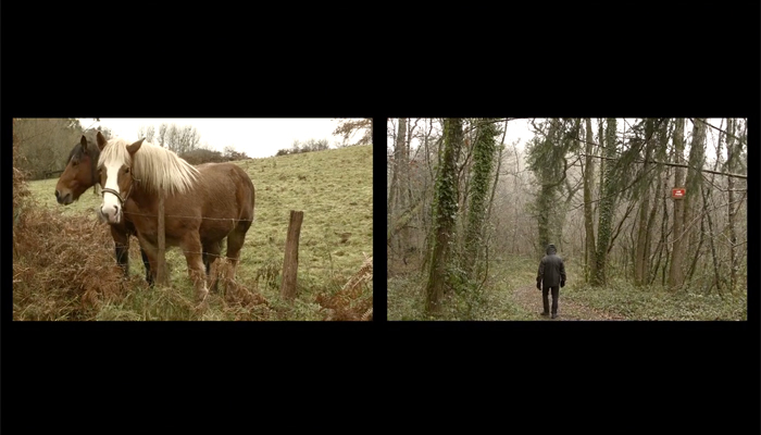 'Poor Time' (video by Eric Cazdyn, 2015, 'Skullsplitter')